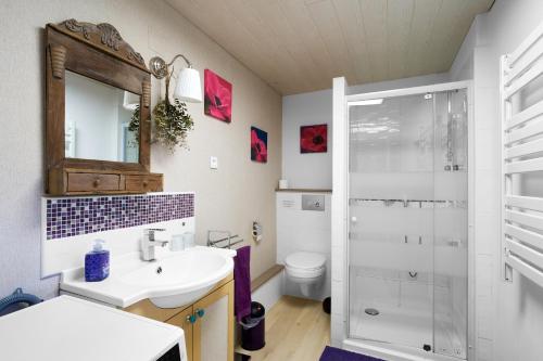 ein Badezimmer mit Waschbecken, Toilette und Dusche in der Unterkunft Domaine De Vic in Le Buisson