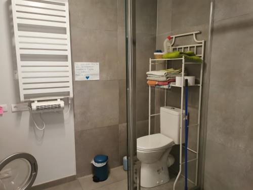 Faverges-de-la-TourにあるGîte Studioのバスルーム(トイレ、タオル掛け付)