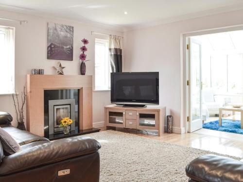 a living room with a fireplace and a television at Rhosyn Gwyn in Llechryd