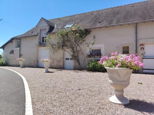 three vases with flowers inront of a house at Gite La Nobleterie - 4 personnes Zoo de Beauval 35min in Frédillé