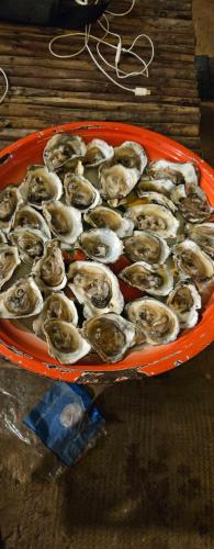 a tray of oysters on an orange plate on a table at Hotel Cap du Sine Saloum in Ndangane