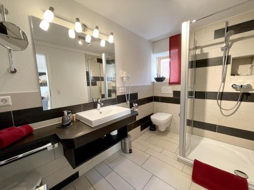 une salle de bain avec un lavabo, une douche et des toilettes dans l'établissement Apartment am Schloss, à Sigmaringen