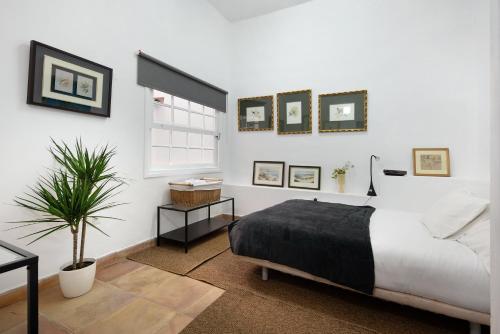 Un dormitorio con una cama y una planta en maceta. en Loft Parque Santa Cruz, en Santa Cruz de Tenerife