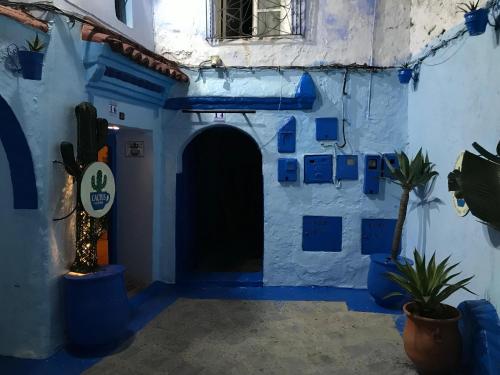 Φωτογραφία από το άλμπουμ του Cactus rooms σε Chefchaouene