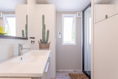サン・ラファエルにあるBungalow V Hugo vue mer terassaのバスルーム(シンク、サボテン付)