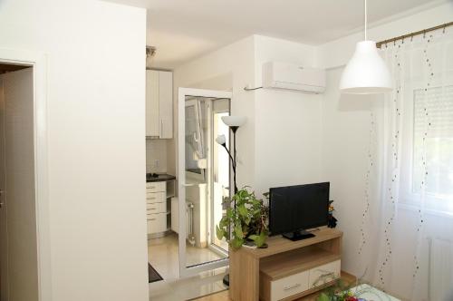 Μια τηλεόραση ή/και κέντρο ψυχαγωγίας στο Apartment Max