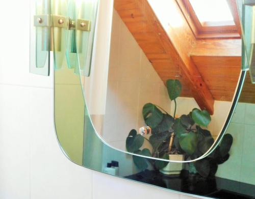a mirror on a wall with a plant in a vase at La Casa De Luis in Castiello de Jaca