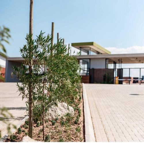 a house with two trees in front of it at The Eyrie in Nelspruit