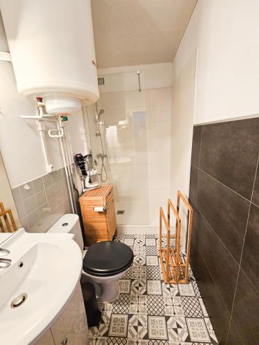 a bathroom with a toilet and a sink at Station de ski Gourette, Appartement avec chambre in Gourette