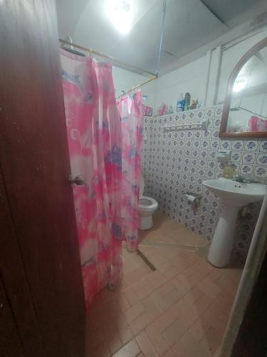 une salle de bain avec toilettes et lavabo dans l'établissement Grande y hermosa casa de tapia, à San Carlos