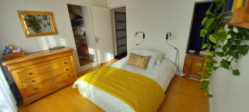 ein Schlafzimmer mit einem Bett mit gelber Decke und einer Kommode in der Unterkunft espace privé, balcon vue montagnes pour 1 à 4 personnes in Grenoble