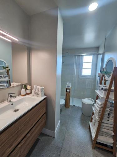 a bathroom with a sink and a shower and a toilet at Ático Monarca II in Arrecife