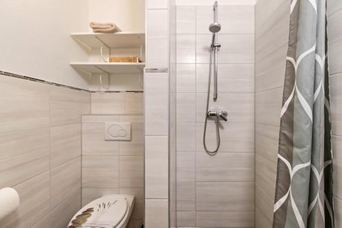 ReußenkögeにあるDenkerhof Apartment Bergkristallのシャワーとトイレ付きのバスルーム