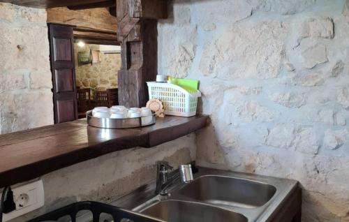 Donja JagodnjaにあるVilla Kunta by Villas Guideの石壁のキッチン(シンク付)