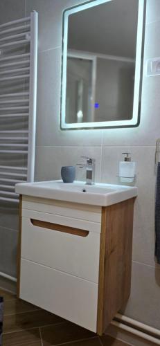 un baño con lavabo y espejo en Leaf & Loft, en Novi Sad