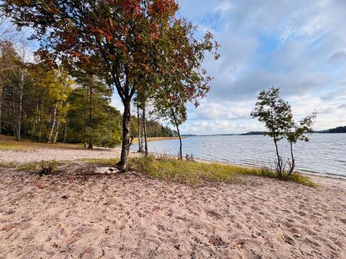 Naturlandskabet i nærheden af feriehuset