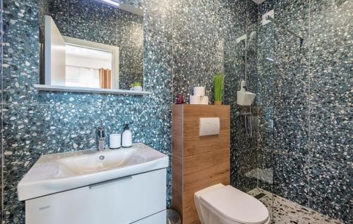 a bathroom with a sink and a toilet and a shower at Villa Jani by Villas Guide in Donja Jagodnja