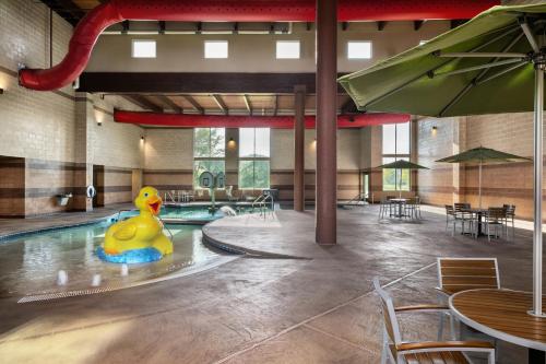 a pool with a rubber duck in the water at Holiday Inn Stevens Point - Convention Center by IHG in Stevens Point