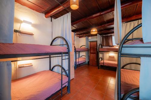 un grupo de literas en una habitación en Hostel La Botella de Leche - Tamarindo, en Tamarindo
