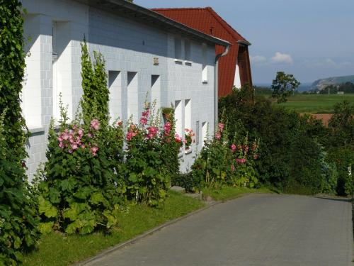 a white building with pink flowers next to a road at Ferienwohnungen Unter den Linden in Thiessow