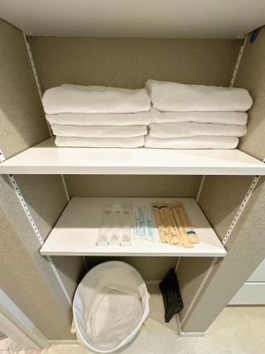 a shelf with towels and a mirror in a bathroom at Kasilin House in Osaka
