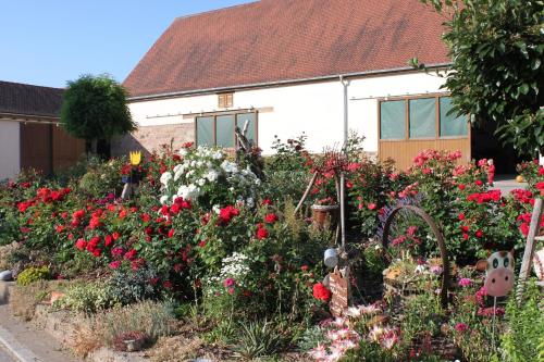 Fotografie z fotogalerie ubytování Fewo Feldblick v destinaci Merkendorf