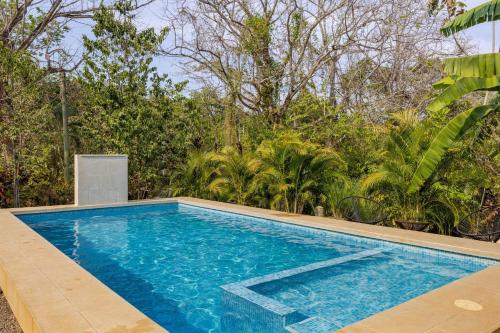 een leeg zwembad voor een bos bij Private Costa Rican Oasis with Pool River Views in Montezuma