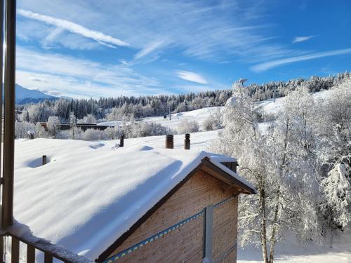 Mygrischa في فليمس: سقف منزل مغطى بالثلج وأشجار مغطاة بالثلج