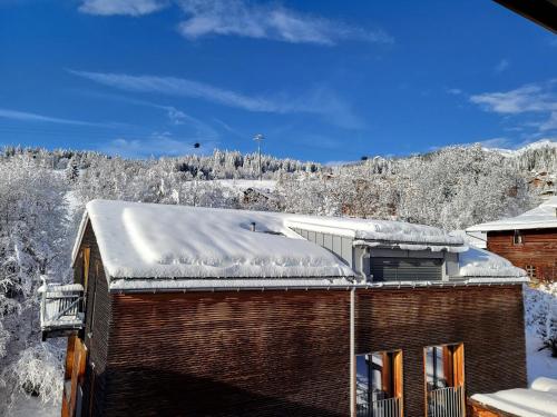 Mygrischa في فليمس: سقف مبنى في الخلف مغطى بالثلج