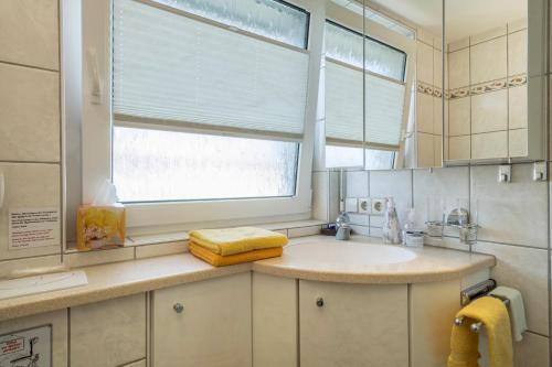 a bathroom with a sink and a window at Ferienwohnung Lilo in Immenstaad am Bodensee