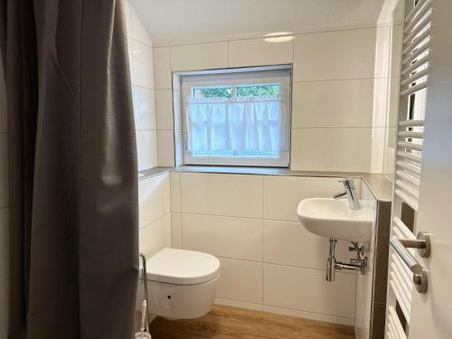 a bathroom with a toilet and a sink and a window at Backhüsli am Bauerngarten in St. Blasien