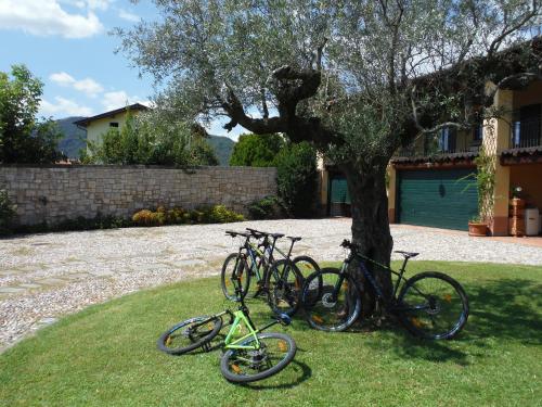 Agriturismo Villa Antonellaの敷地内または近くで楽しめるサイクリング