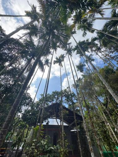 Příroda nedaleko vily