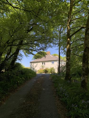 a road leading to a white house with trees at Delightful Dartmoor Apartment in Two Bridges