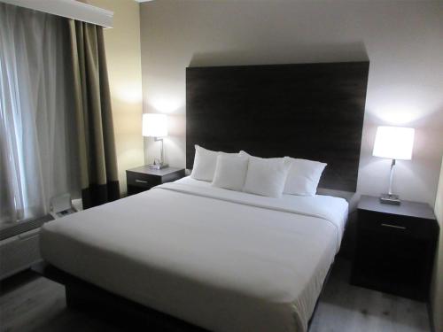 Postel nebo postele na pokoji v ubytování Best Western Kenner