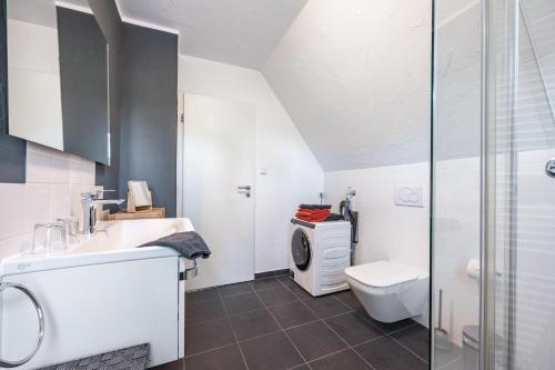 a bathroom with a toilet and a sink and a shower at Waldgästehaus Externsteine in Horn-Bad Meinberg