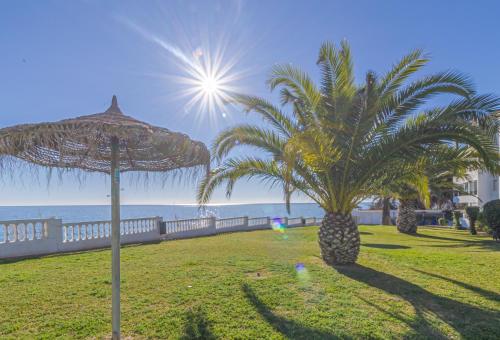 palma de mar