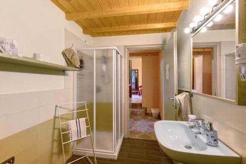 a bathroom with a sink and a shower at Nuova Scardua Agr Cucina Tipica in Cavriana