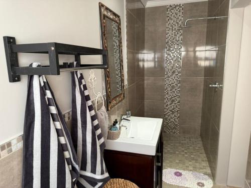 a bathroom with a shower and a sink and a shower at Yellow Wood 1 in Hermanus