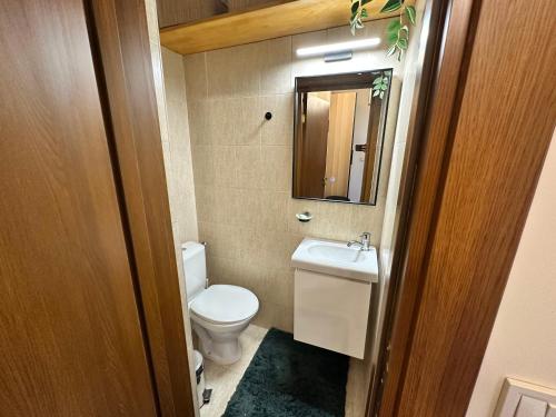 a small bathroom with a toilet and a sink at Murphys Lodge panorama apartment in Bansko