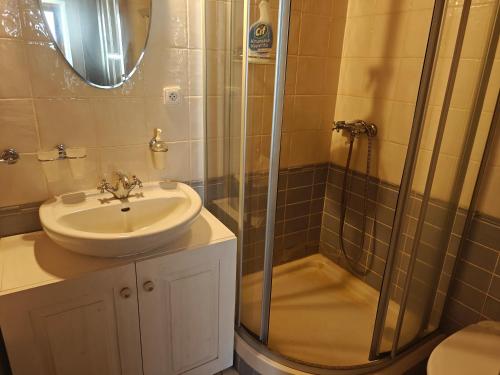 Un baño con lavabo y ducha en Chalupa Lidunka, en Střížovice