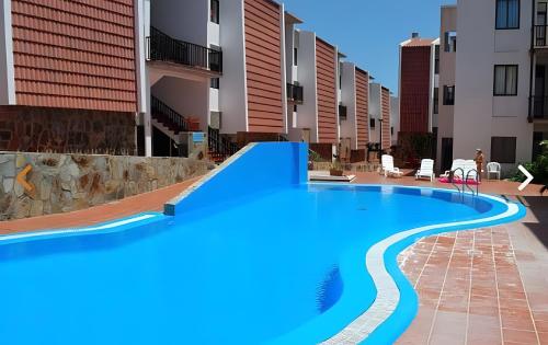 a large swimming pool in the middle of a building at Judith's Oasis in Alajeró