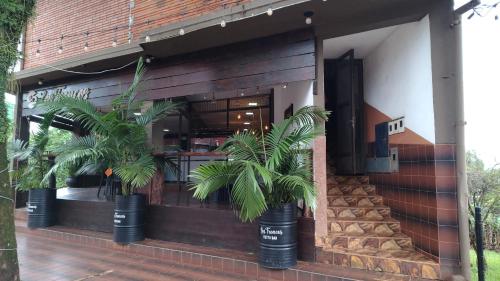 a restaurant with two palm trees in black buckets at San Martin Apart in Puerto Rico