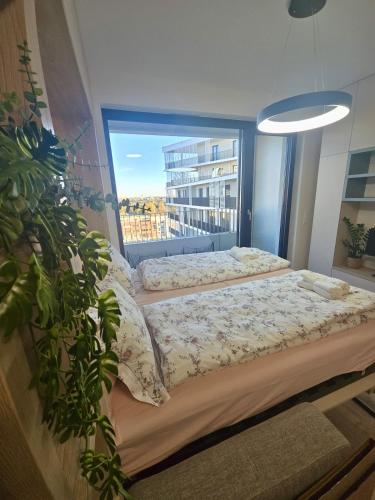 Emma's Appartment with Free Parking