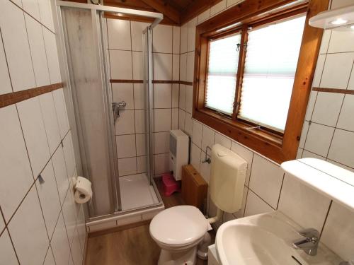 a bathroom with a toilet and a shower and a sink at Twistesee Ferienhaus 110 in Wetterburg