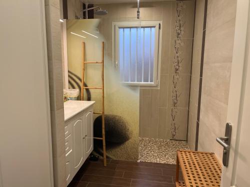 シャントネーにあるChambre chez l'habitantの洗面台とシャワー付きの小さなバスルーム