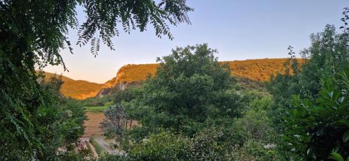 Φυσικό τοπίο κοντά σε αυτό το διαμέρισμα