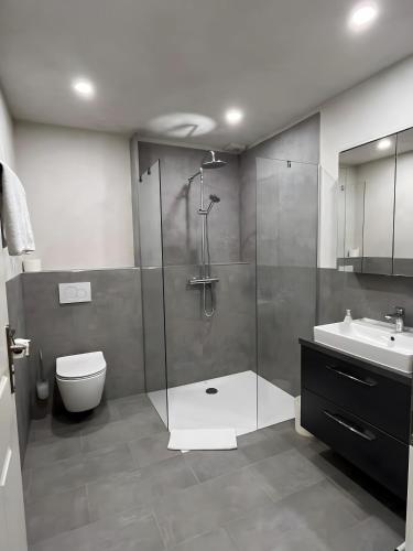 a bathroom with a shower and a toilet and a sink at Bio Bausewein - Studio 1 in Iphofen