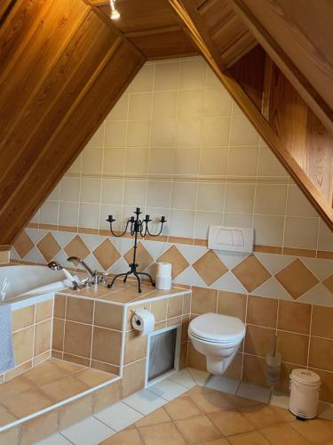 a bathroom with a toilet and a bath tub at Klausenhof in Bornhagen