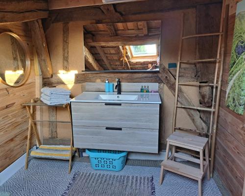 een badkamer met een wastafel en een ladder bij Domaine Baraque in Pouillon